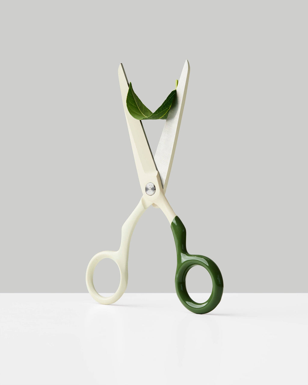 Spectra Scissors: Red + White