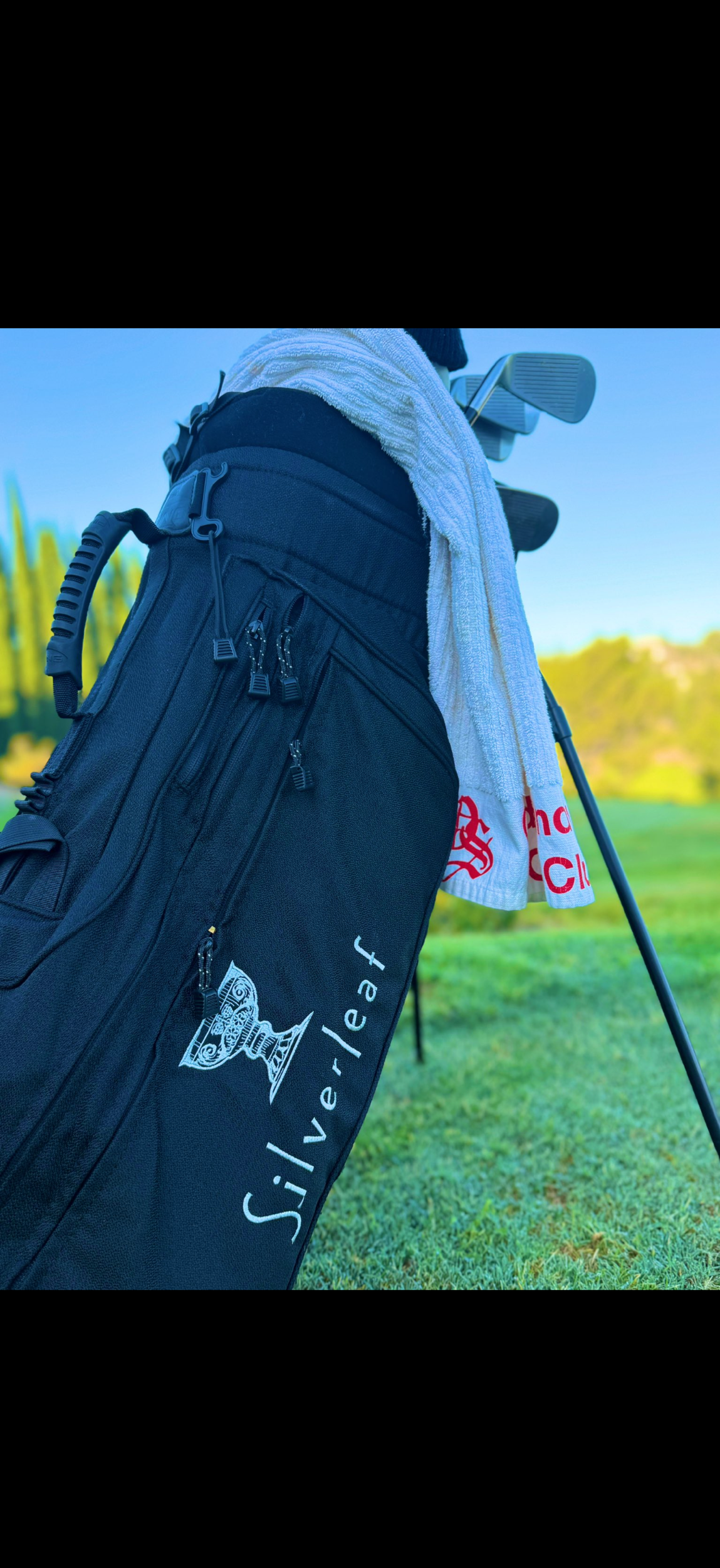 Original Ping Silverleaf J Bag