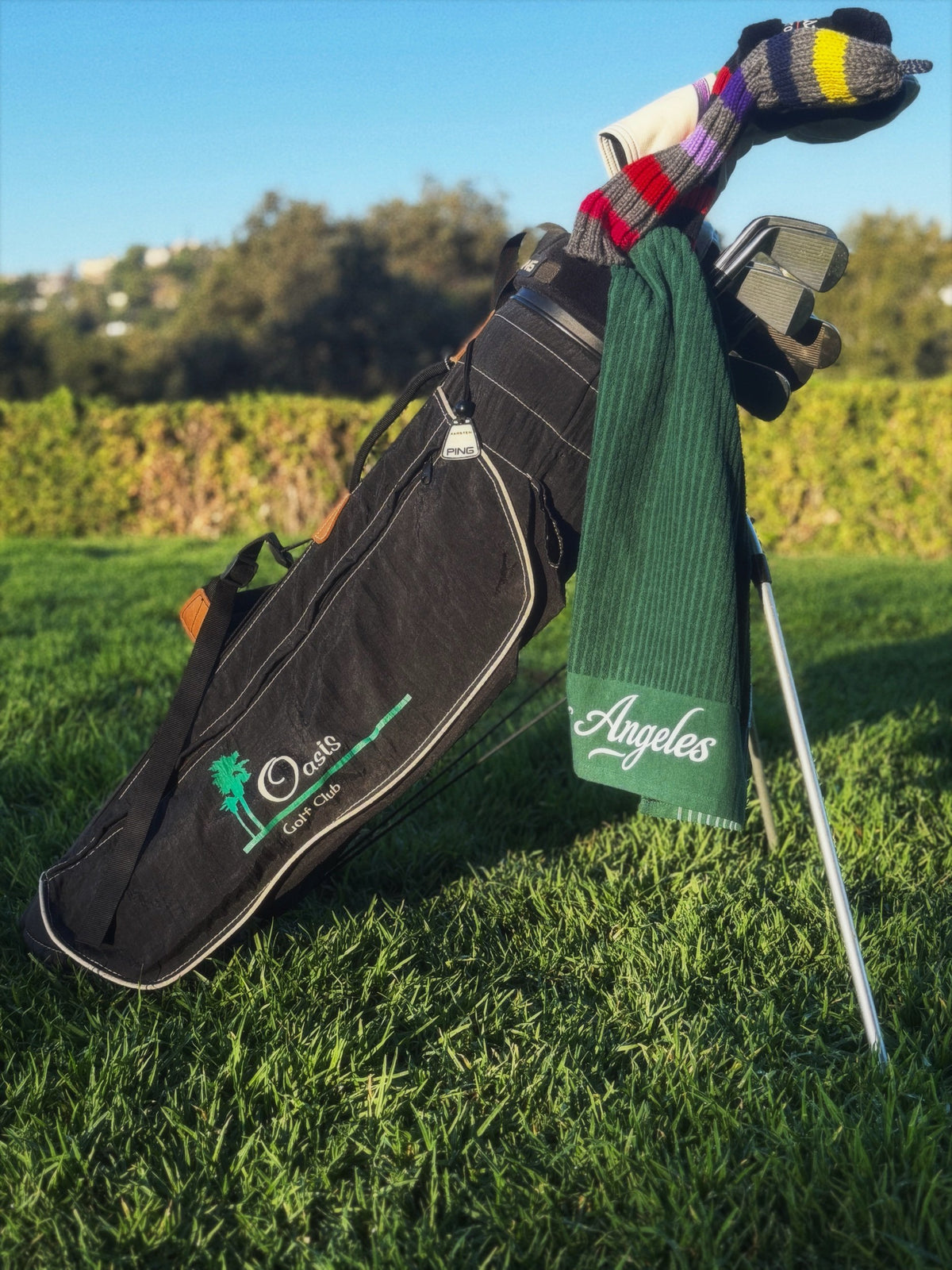 Ping L8 Nylon Dual Strap Stand Bag- Oasis Golf Club