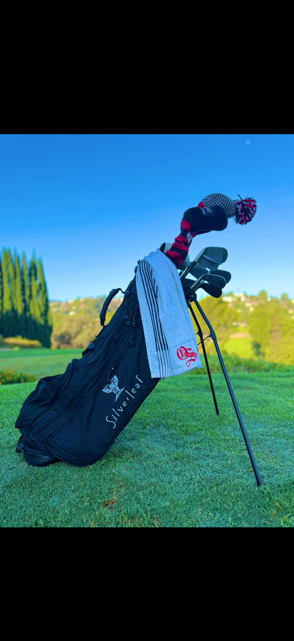 Original Ping Silverleaf J Bag