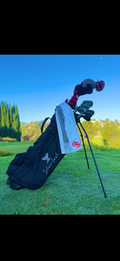 Original Ping Silverleaf J Bag