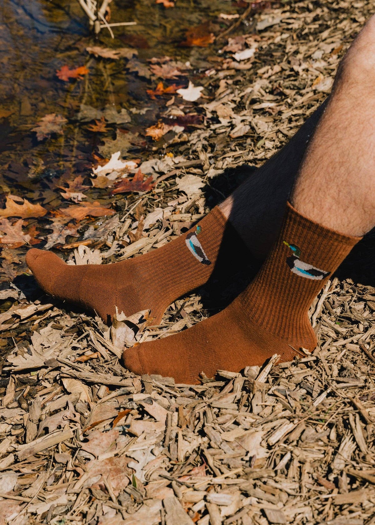 The Zoo Crew: Navy duck / M