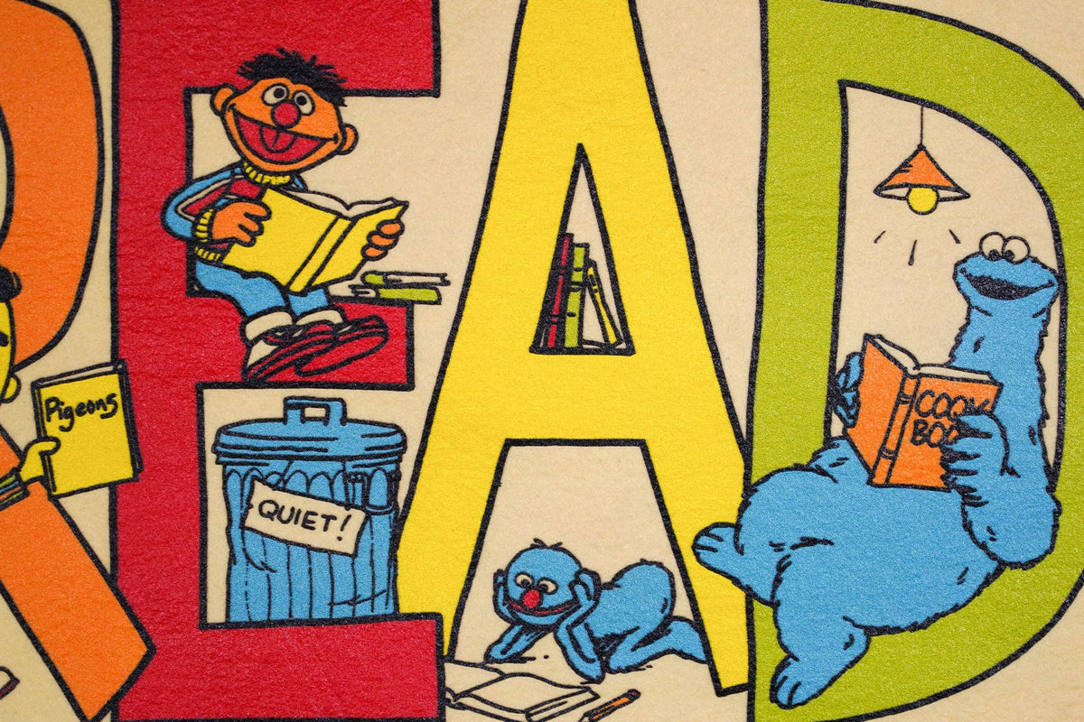 READ Camp Flag • Sesame Street x Oxford Pennant